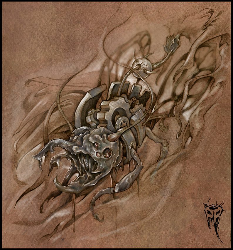 insect