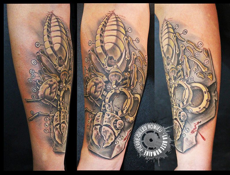 Pierre-Gilles Romieu - la bete humaine - fourmi couleur bras