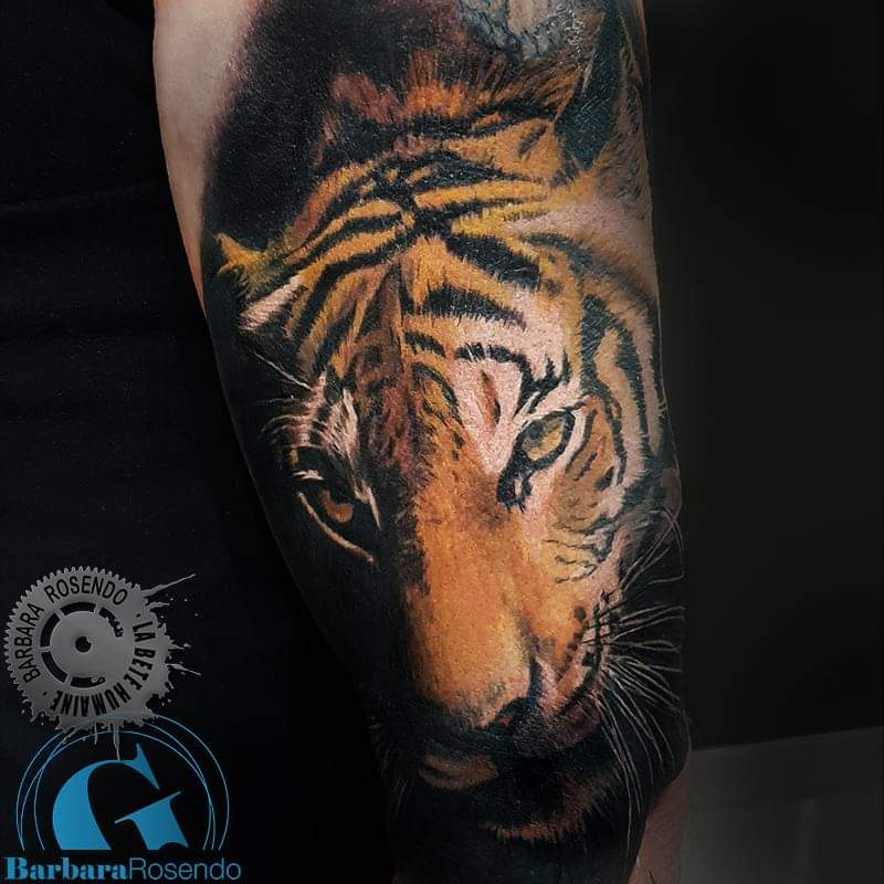 meilleure-tatoueuse-paris-barbara-rosendo-tatouage-tigre-realiste-tattoo