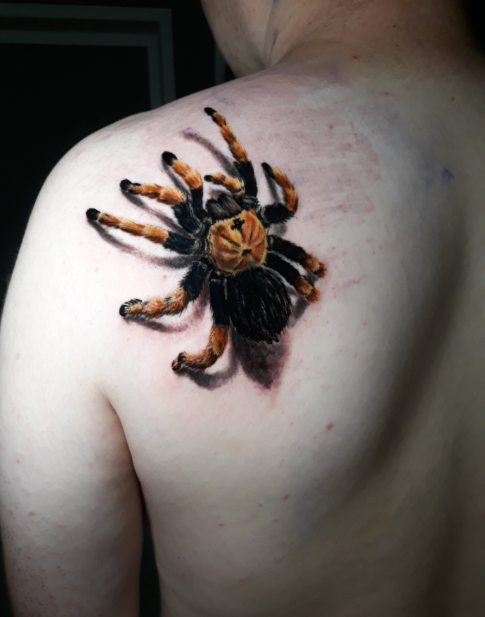 tatoueur-guest-paris-moka-tatouage-mygale-araignee-omoplate-tattoo