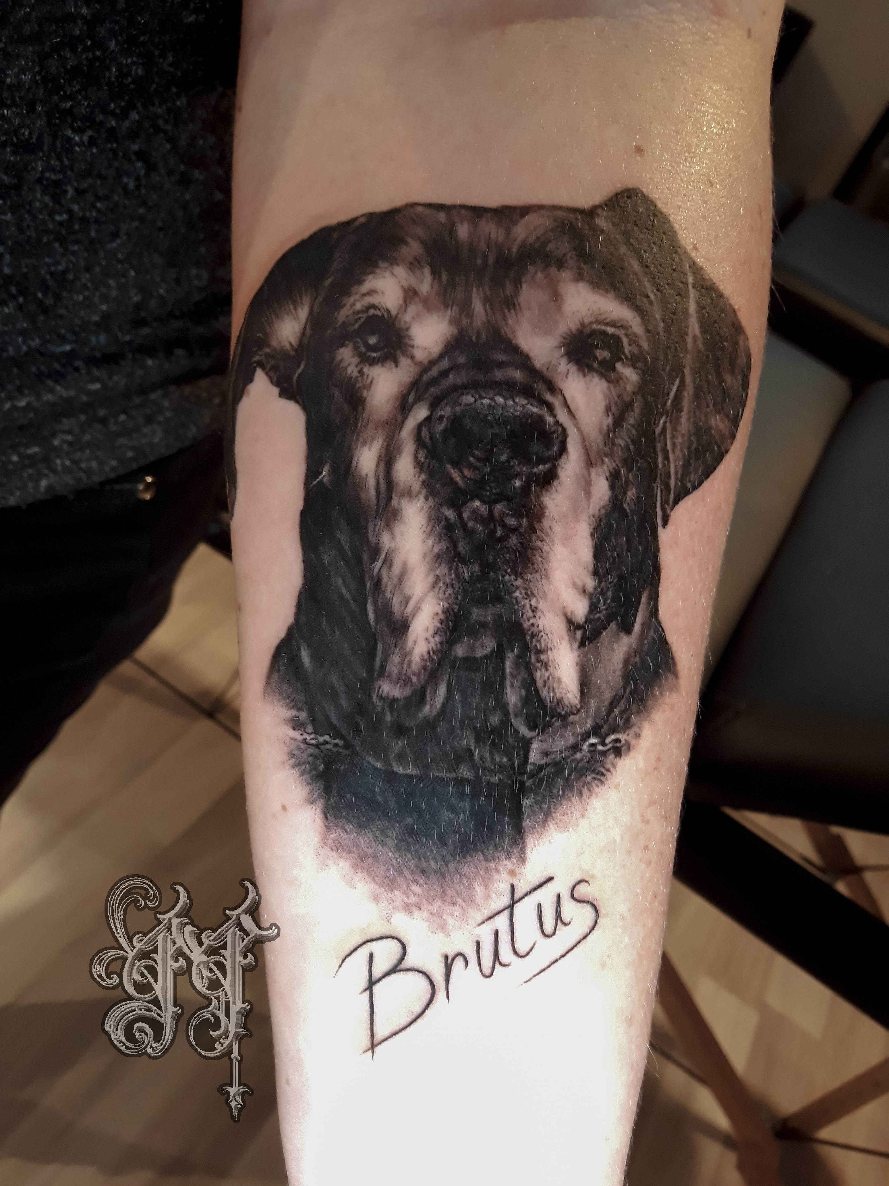 tatoueur-guest-paris-moka-tatouage-portrait-realiste-chien-tattoo
