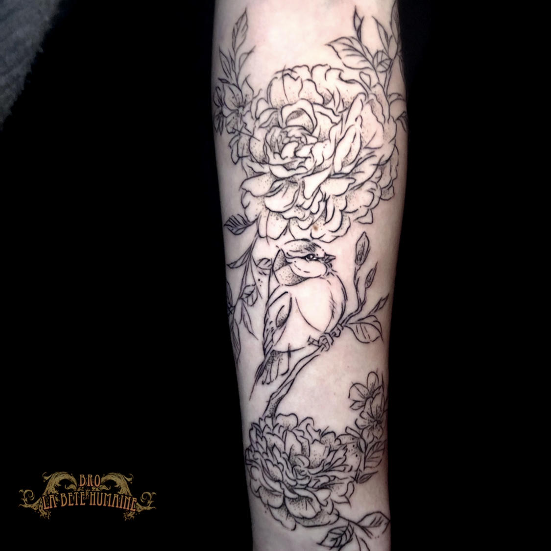 meilleur-tatoueur-paris-bro-tatouage-tattoo-rouge-gorge