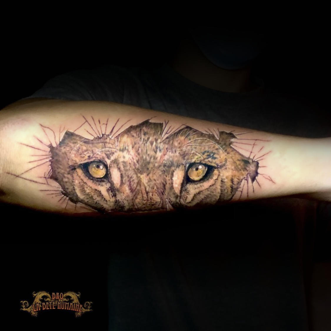 meilleur-tatoueur-paris-bro-tatouage-tattoo-yeux-lion