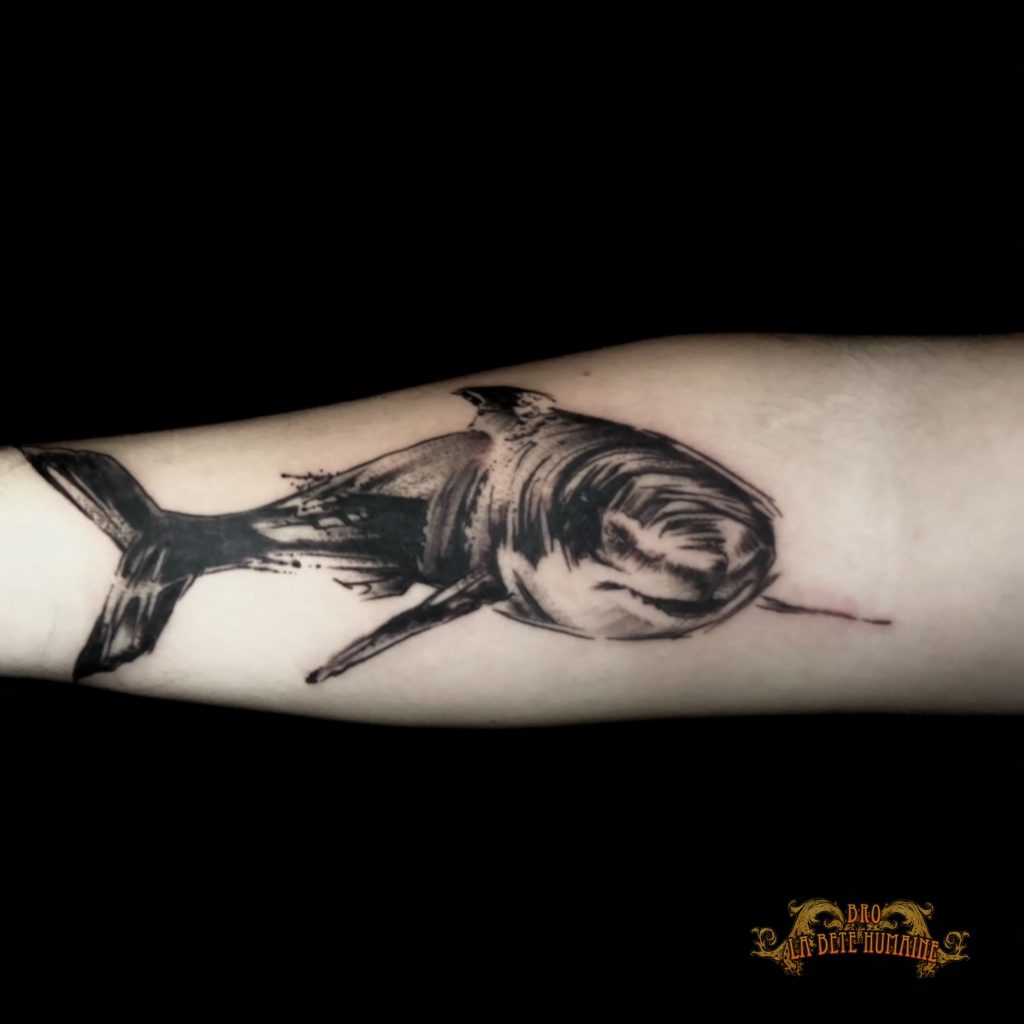 meilleur-tatoueur-paris-bro-vanthorn-tatouage-tattoo-requin-avant-bras