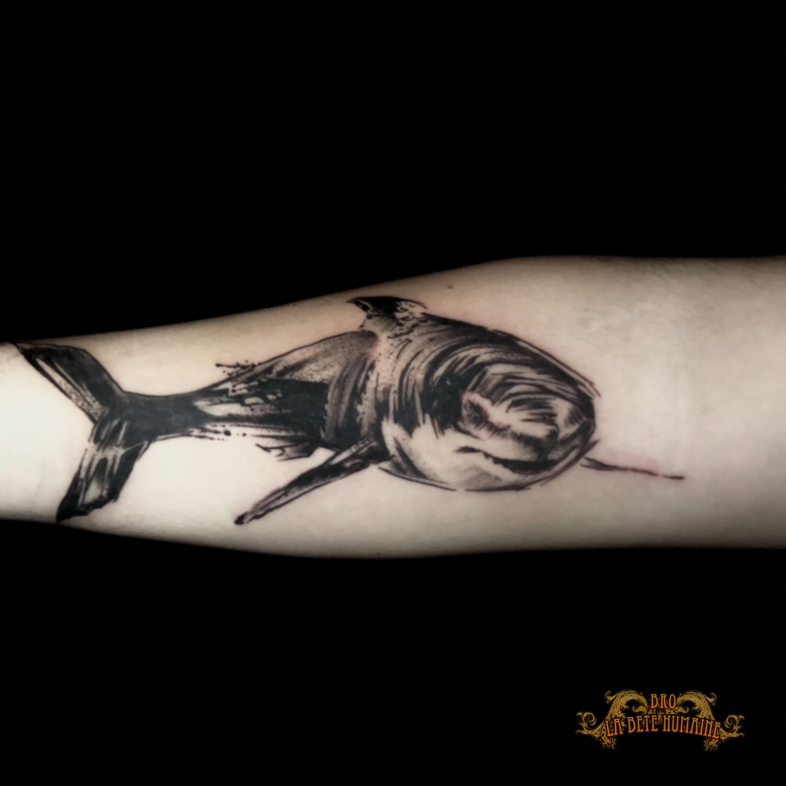 meilleur-tatoueur-paris-bro-vanthorn-tatouage-tattoo-requin-avant-bras