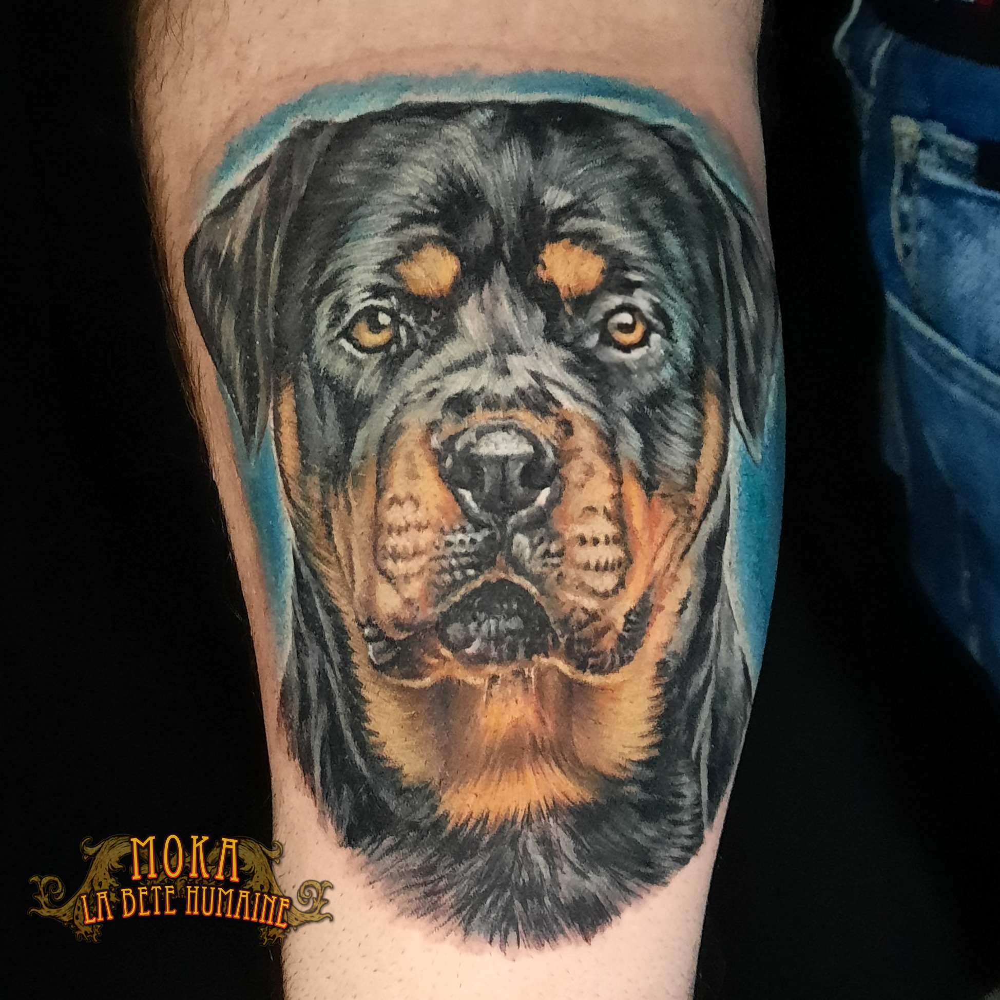 moka-tatoueur-paris-realiste-style-realisme-tatouage-tattoo-rottweiler