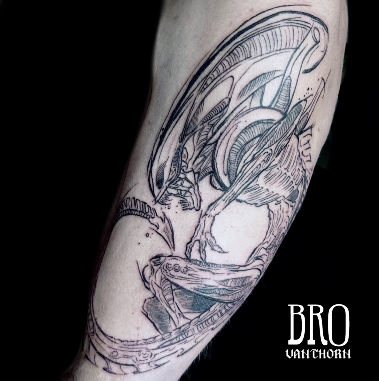 Bro Vanthorn, tatoueur à Paris - Xénomorphe de la saga Alien