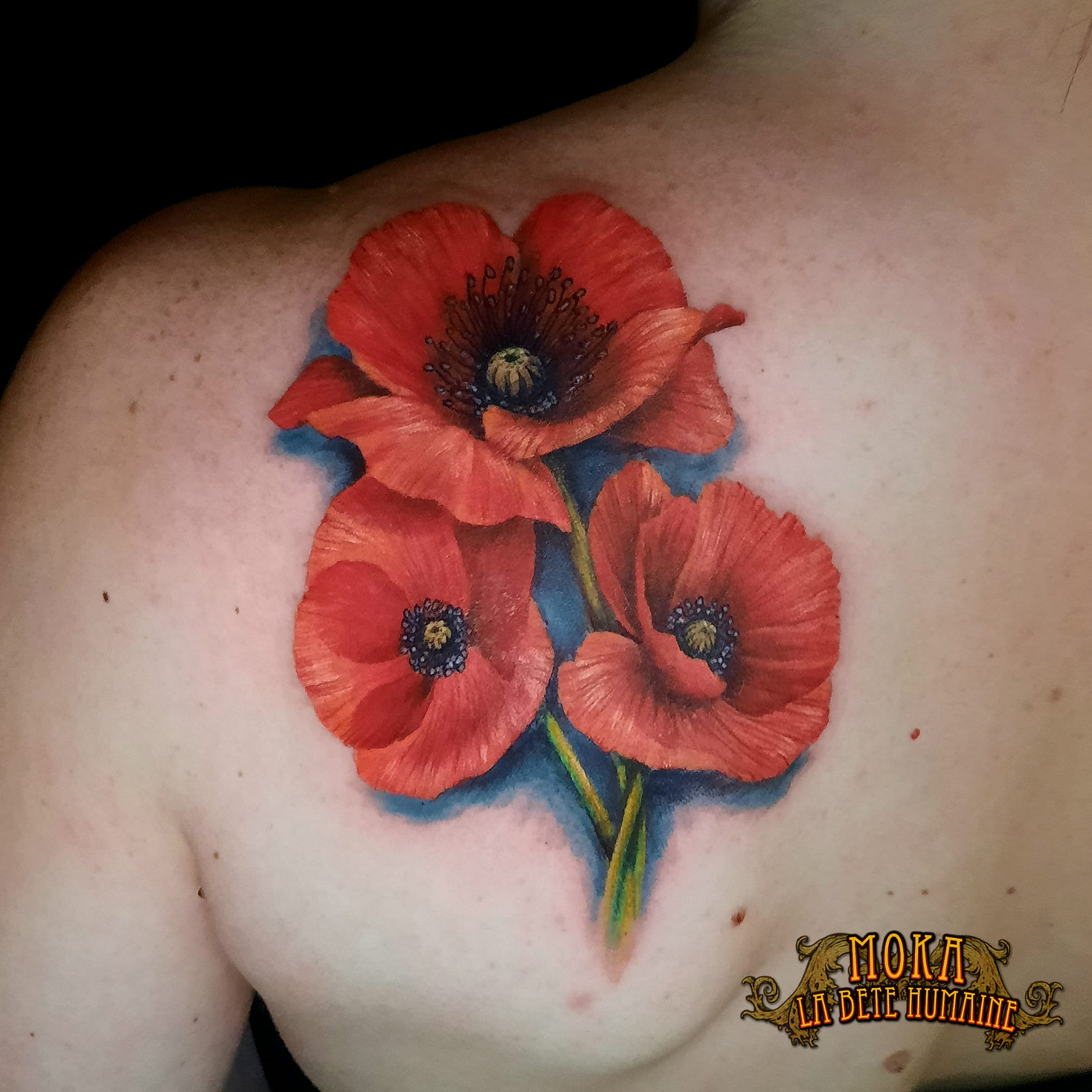 Tatouage réaliste de trois coquelicots rouges en haut du dos, réalisé par Moka à Paris